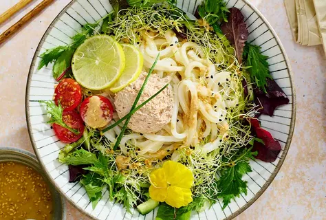 Oriental-style udon noodle salad