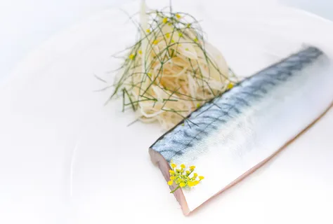 Kikkoman Soy and oyster marinated Mackerel, celeriac and fennel salad