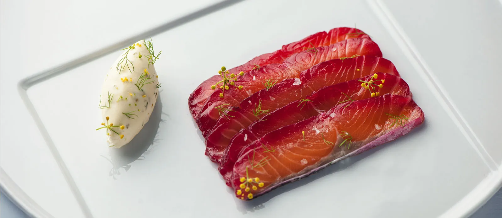 Soy and beetroot marinated salmon with fennel pollen cream