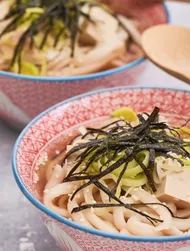 Japanese Udon Noodle Soup