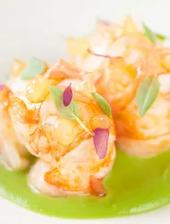 Roasted Langoustine with asparagus and coconut puree