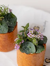 Aged beef, mushroom, beef fat