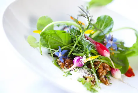 Summer Farm Salad