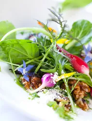 Summer Farm Salad